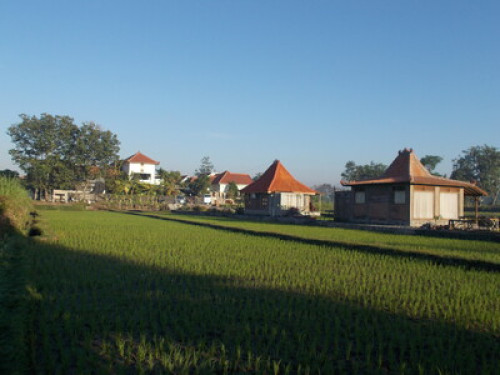 we love to show you Yogyakarta - Gallery - 13