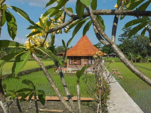 we love to show you Yogyakarta - Gallery - 45