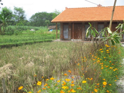 we love to show you Yogyakarta - Gallery - 39