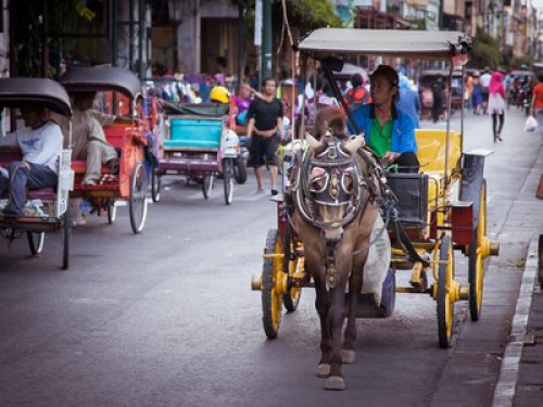 we love to show you Yogyakarta - Gallery - 8