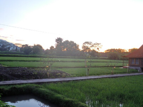 we love to show you Yogyakarta - Gallery - 4