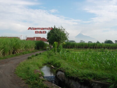 we love to show you Yogyakarta - Gallery - 3
