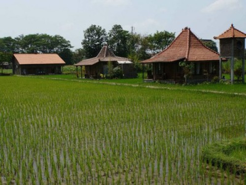we love to show you Yogyakarta - Gallery - 36