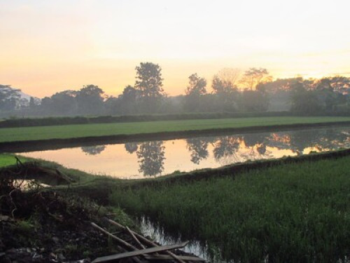 we love to show you Yogyakarta - Gallery - 40