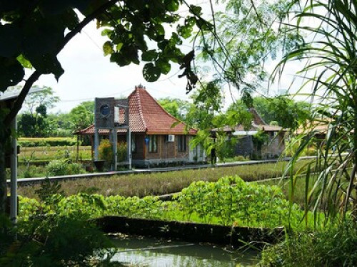 we love to show you Yogyakarta - Gallery - 46