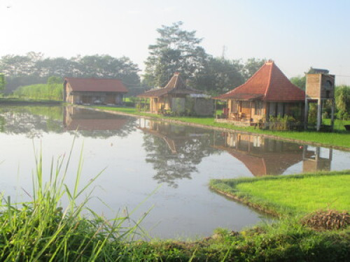 we love to show you Yogyakarta - Gallery - 30