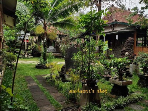 A place for something different - Gallery - 5