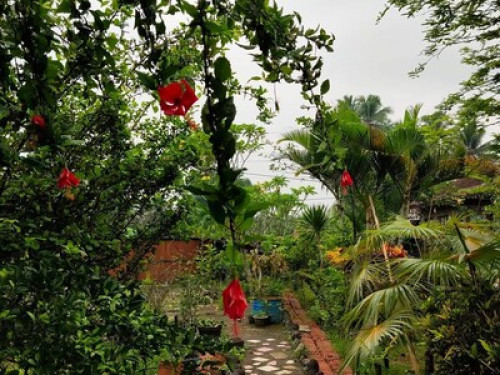 A place for something different - Gallery - 11