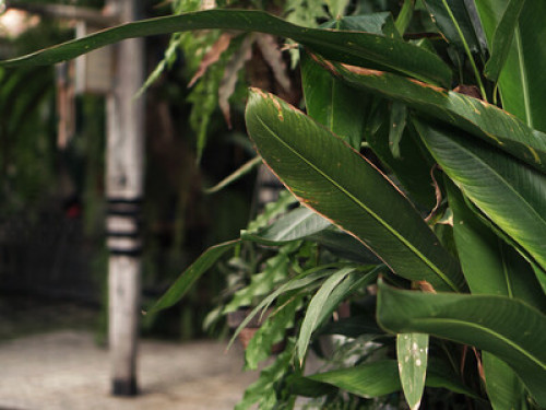 Charming Classic Homestay  - Gallery - 68