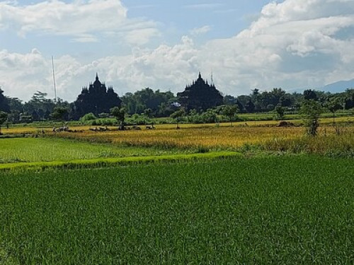 Homestay Family  - Gallery - 5