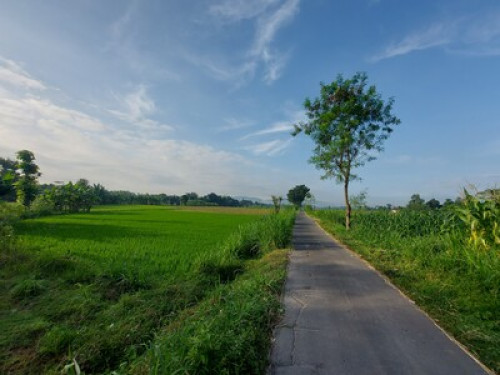 Homestay Family  - Gallery - 11