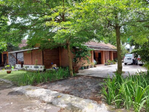 Homestay Family  - Gallery - 19