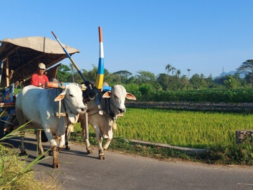 Homestay Family  - Gallery - 7