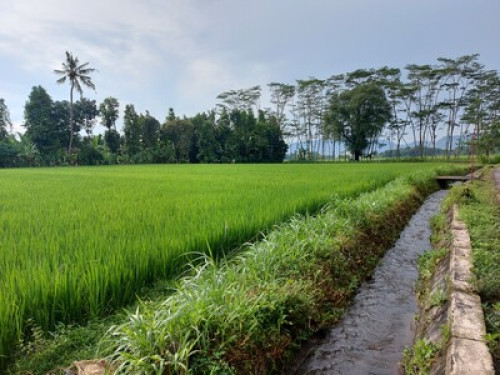 Homestay Family  - Gallery - 13
