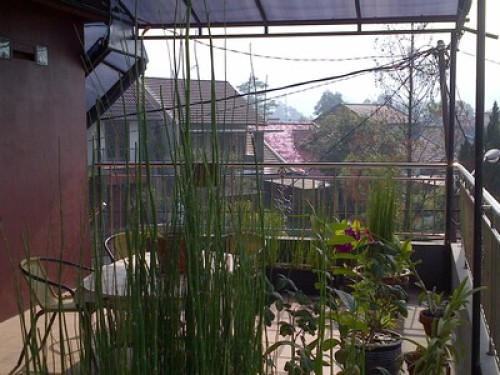 Homestay in Bandung - Gallery - 5
