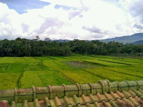 Cianjur Roof Terraces Homestay - Gallery - 9