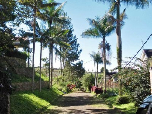HALIMUN - Gallery - 8