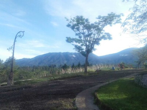 HALIMUN - Gallery - 3