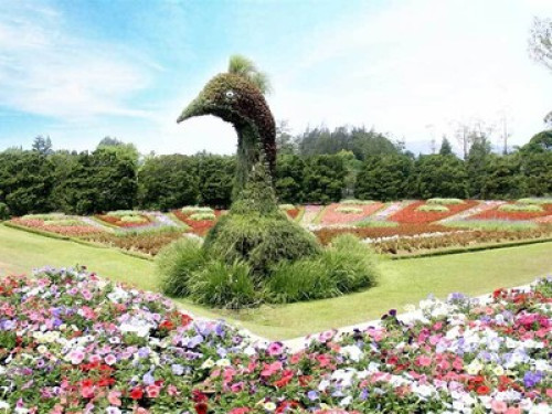 Indonesia Village - Gallery - 12
