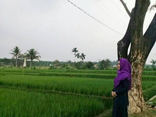 Indonesia Village - Gallery - 38
