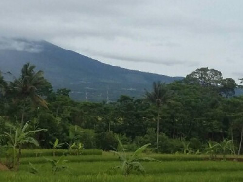 Indonesia Village - Gallery - 33