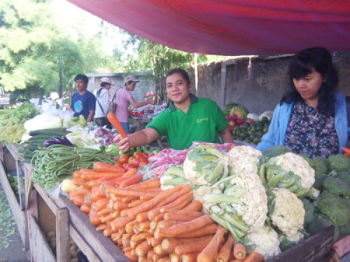 Homestay in Serpong next to BSD - Gallery - 8