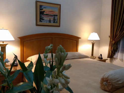 Pesona Guest House Jakarta - Gallery - 20