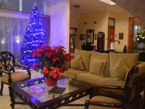Pesona Guest House Jakarta - Gallery - 25