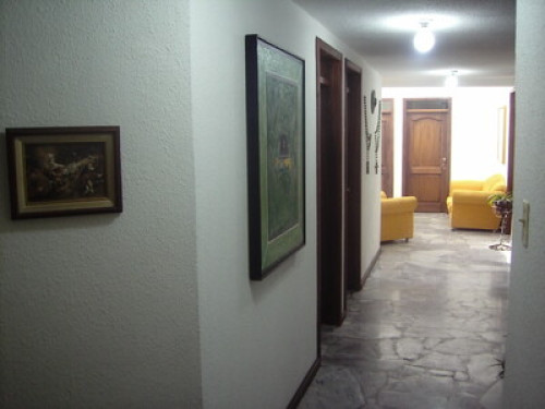 Art, culture, good food and warmth. - Gallery - 23