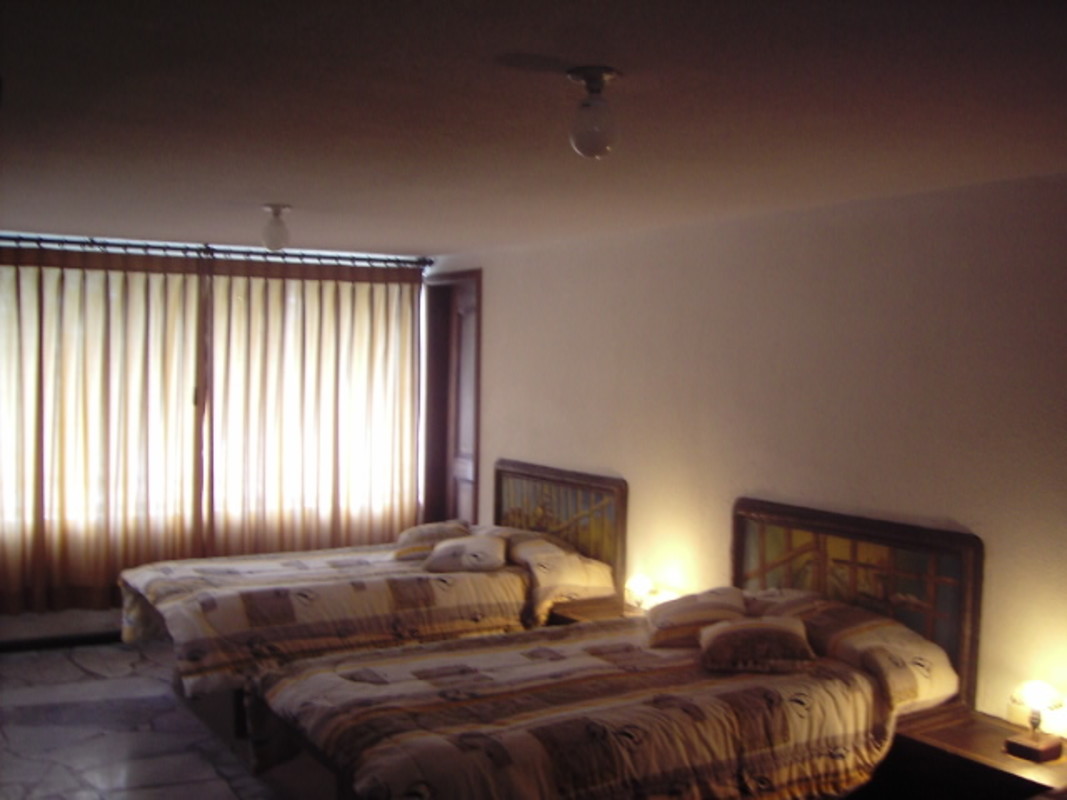 Cactus Room. Large Windows.(Full Room) - 1