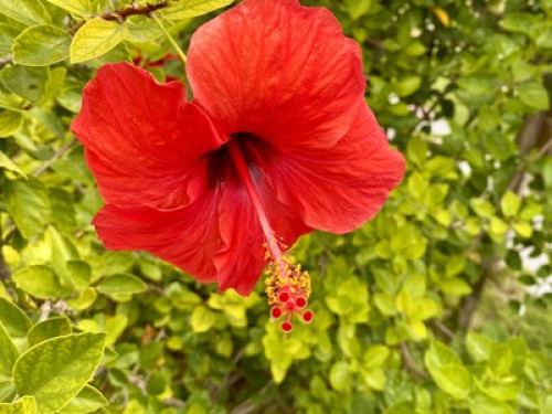 Rooms for rent in Ayangue - Gallery - 11
