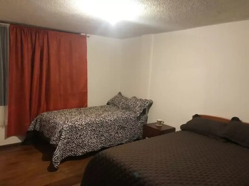 COMFORTABLE ACCOMMODATION - Gallery - 11