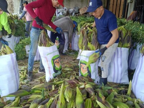 Authentic rural life in Patate - Gallery - 6