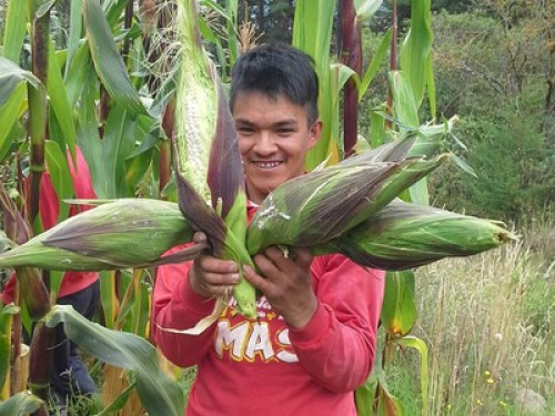 Authentic rural life in Patate - Gallery - 18