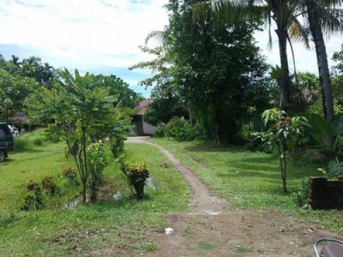 Green environment Padang