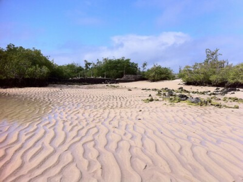 Paradise in Galapagos - Gallery - 13