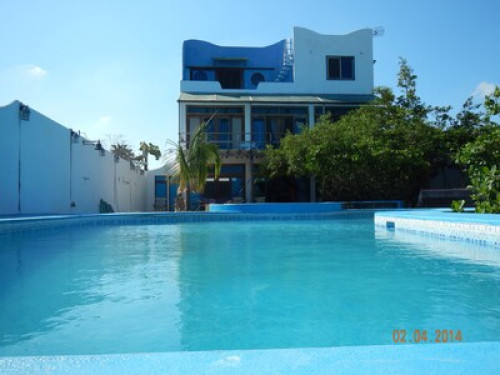 Paradise in Galapagos - Gallery - 7