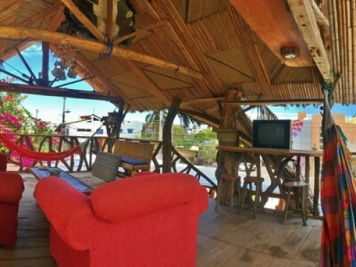 Lonesome George Ecolodge - Gallery - 22