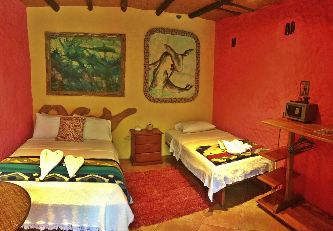 Room #5(Single Bed) - 1