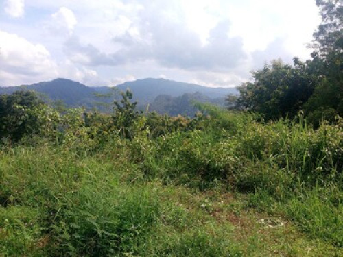 UswahHomestay  - Gallery - 10