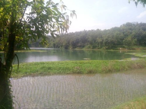 UswahHomestay  - Gallery - 5