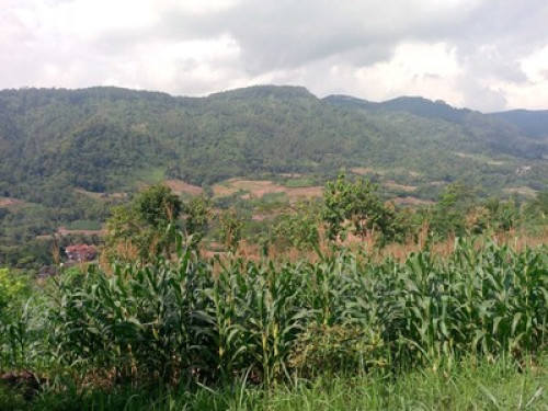UswahHomestay  - Gallery - 2