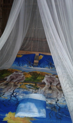 raja ampat sunrise homestay - Gallery - 26