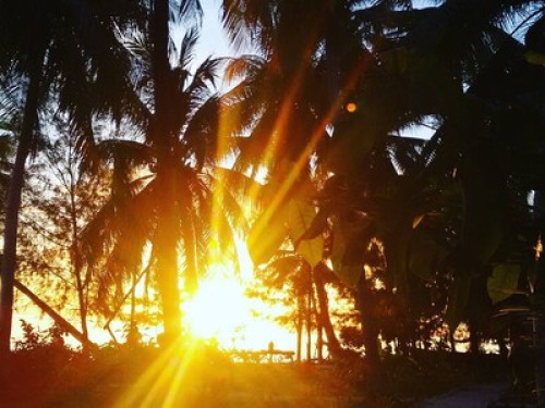 raja ampat sunrise homestay - Gallery - 11