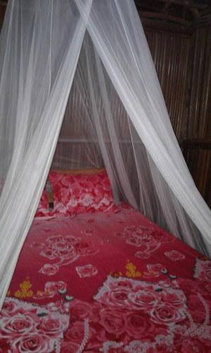 raja ampat sunrise homestay - Gallery - 28