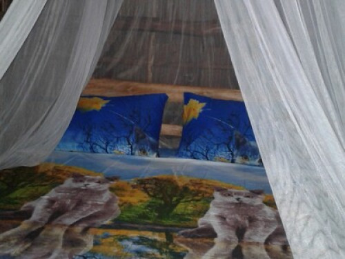 raja ampat sunrise homestay - Gallery - 4