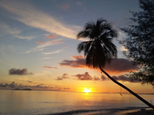 raja ampat sunrise homestay - Gallery - 23