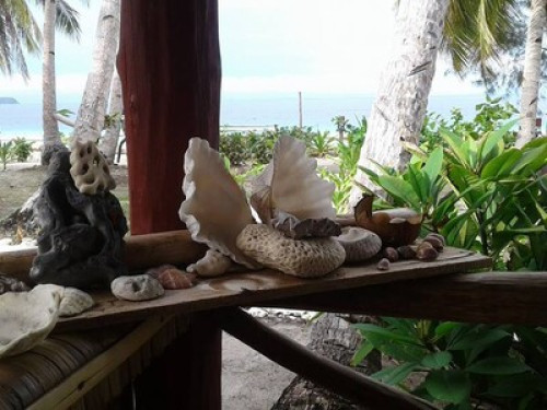 raja ampat sunrise homestay - Gallery - 12