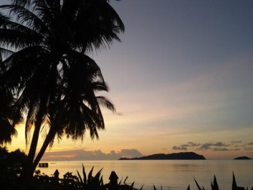 raja ampat sunrise homestay - Gallery - 19