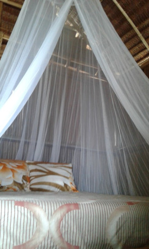 raja ampat sunrise homestay - Gallery - 21